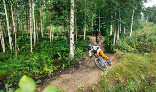 cykla-mountainbike-downhill-jarvso-bikepark Prova MTB downhill i cykelparken Järvsö i härliga Hälsingland och bo på JBP Hotell.